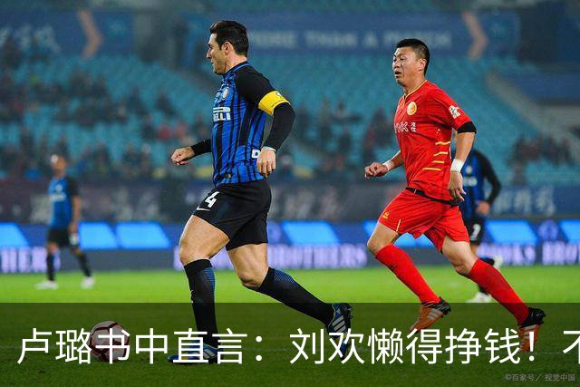 卢璐书中直言：刘欢懒得挣钱！不是躺平，是不愿被名利绑架