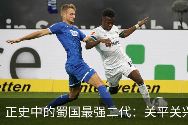 正史中的蜀国最强二代：关平关兴张苞都靠边，他才是真正猛将
